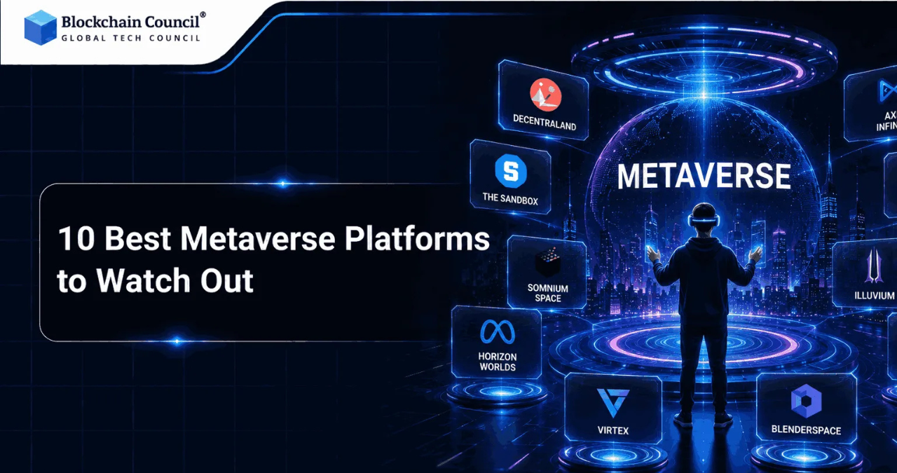 Metaverse Platforms